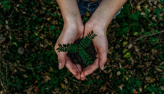 Every Day, Earth Day