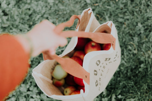 Small Changes to Start Living Eco-Friendly