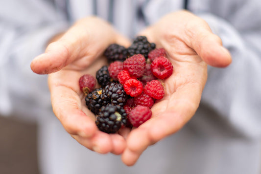 Hair Diet: The Food-Hair Connection