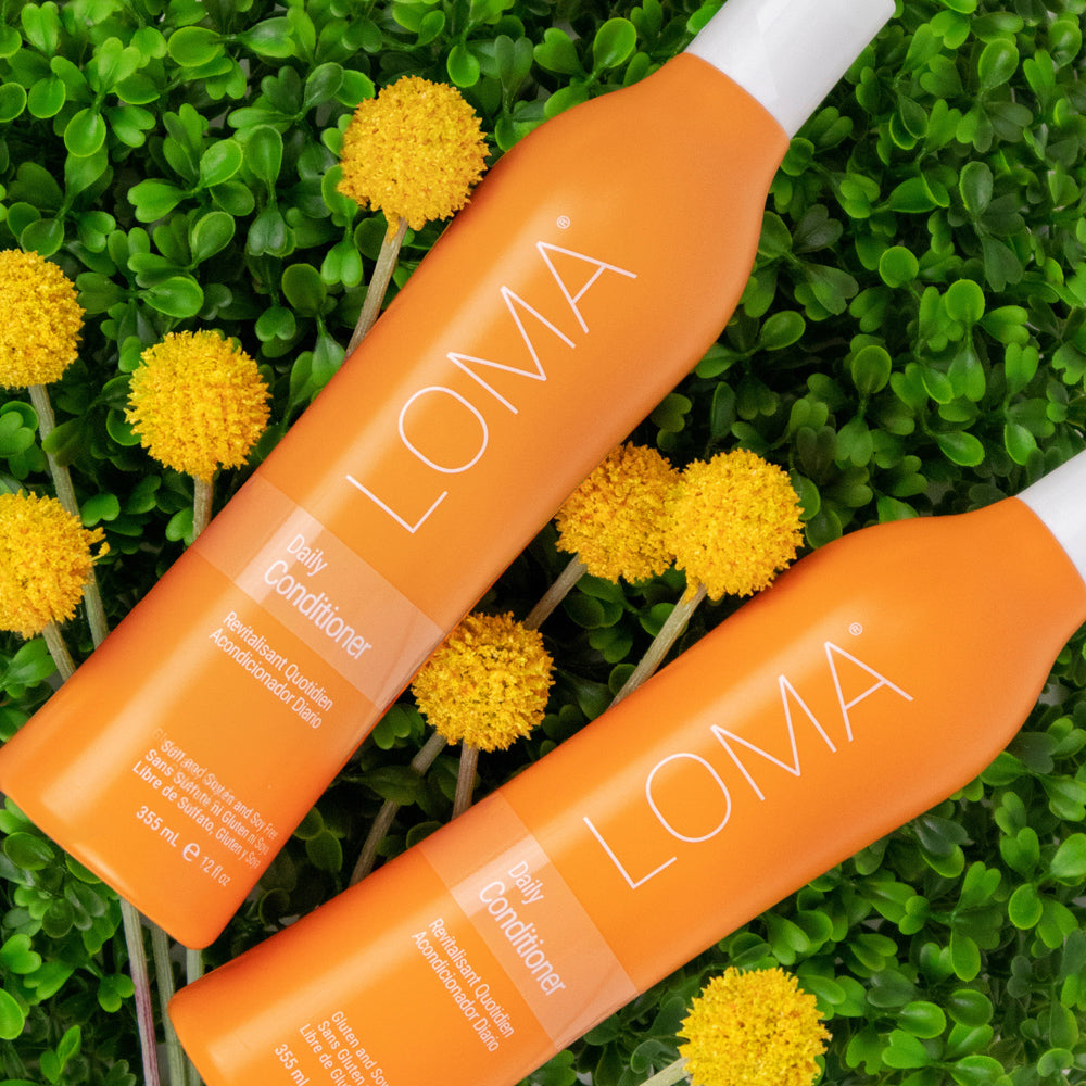 Daily Conditioner - LOMA RETAIL