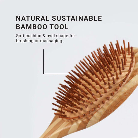 Bamboo Oval Paddle Brush - LOMA RETAIL