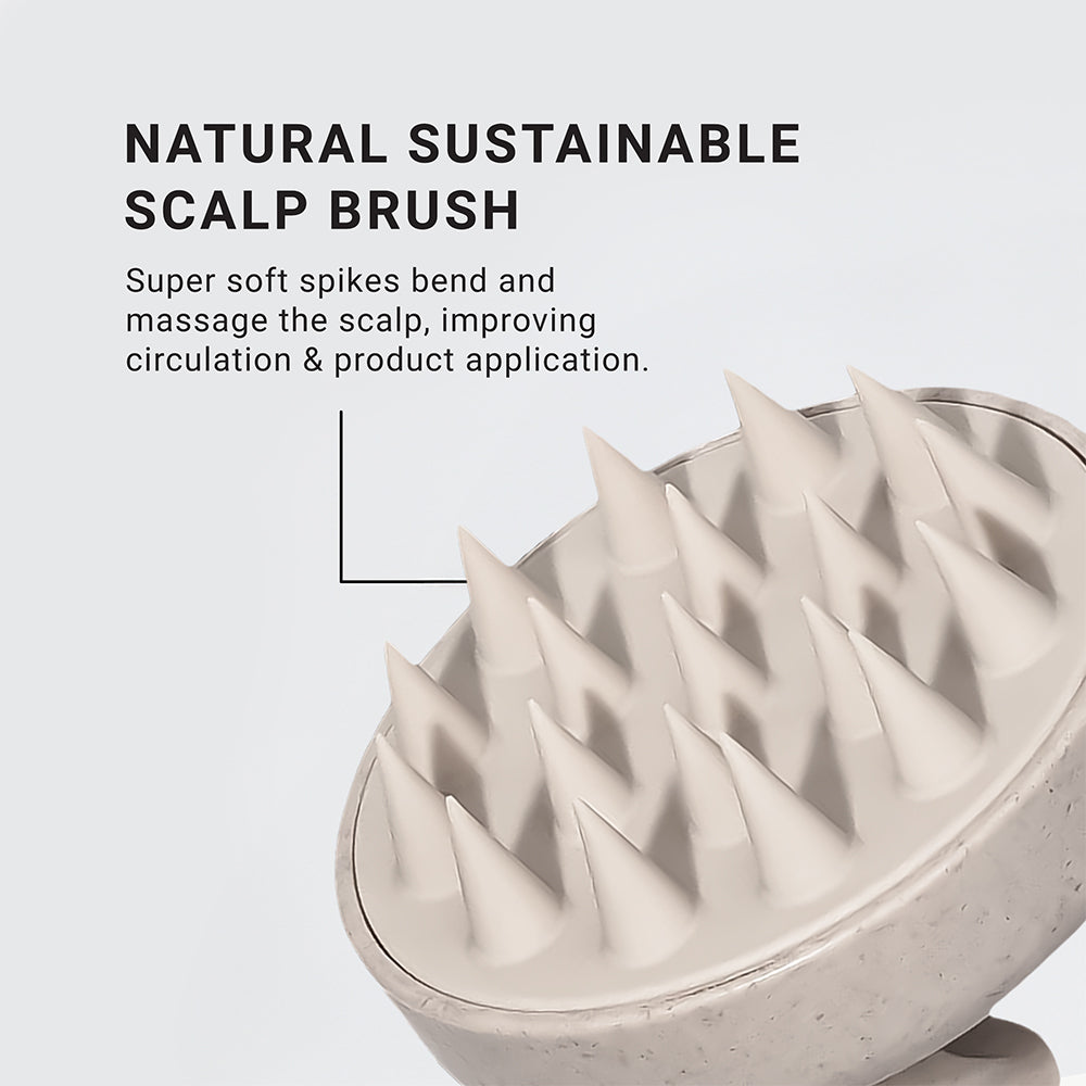 Scalp Brush - LOMA RETAIL