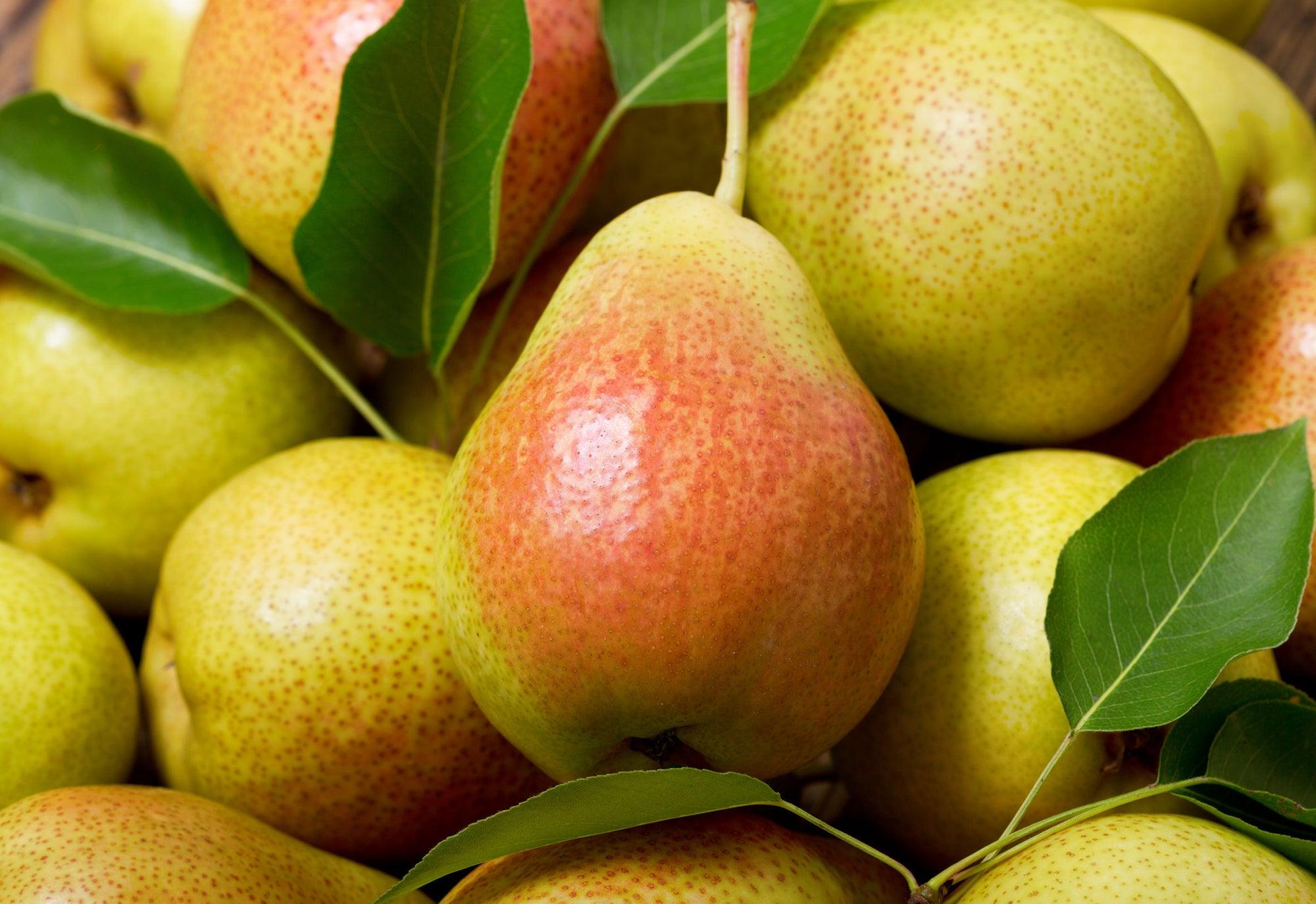 Pear Aromas - LOMA RETAIL