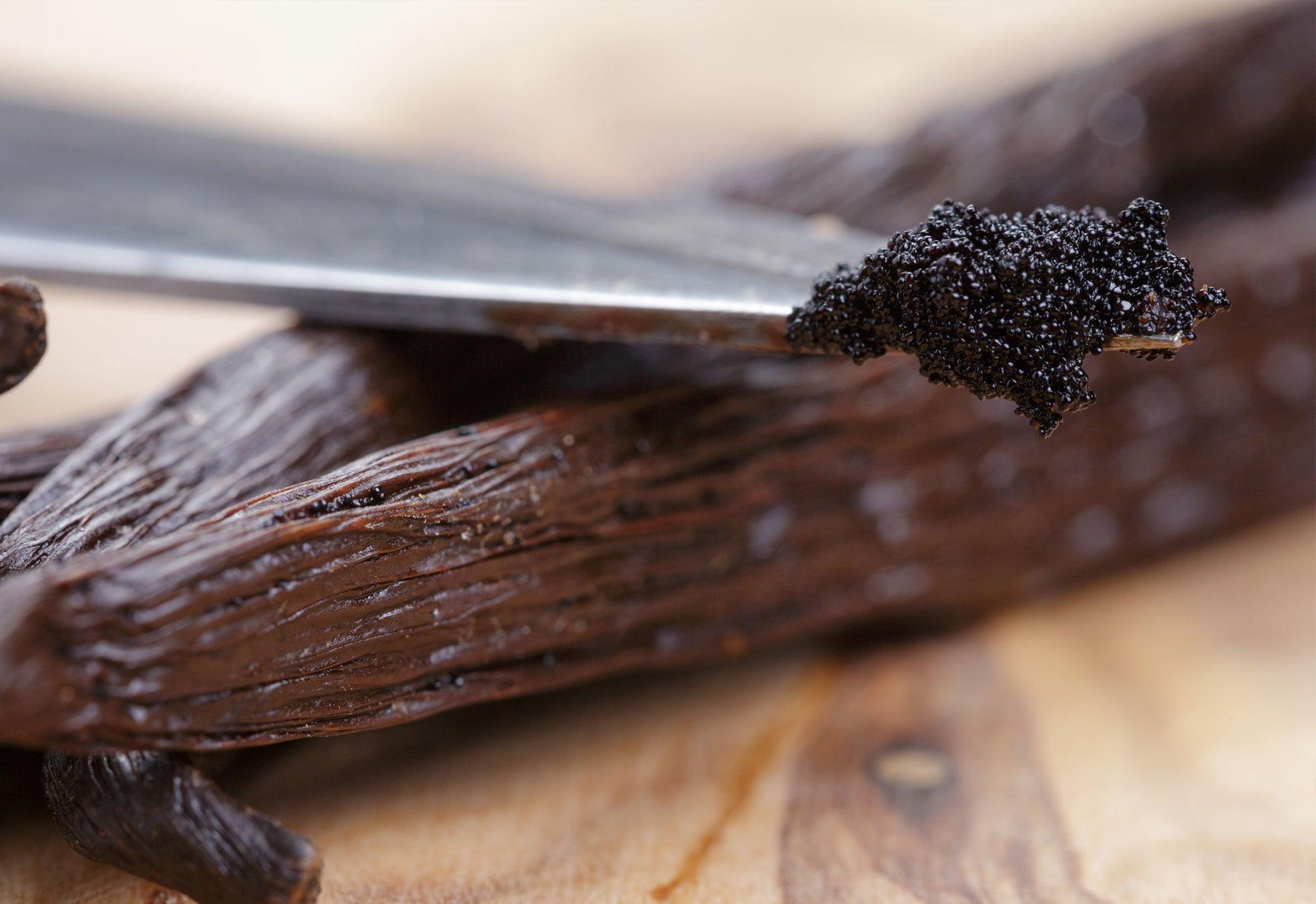 Vanilla Bean Aromas - LOMA RETAIL
