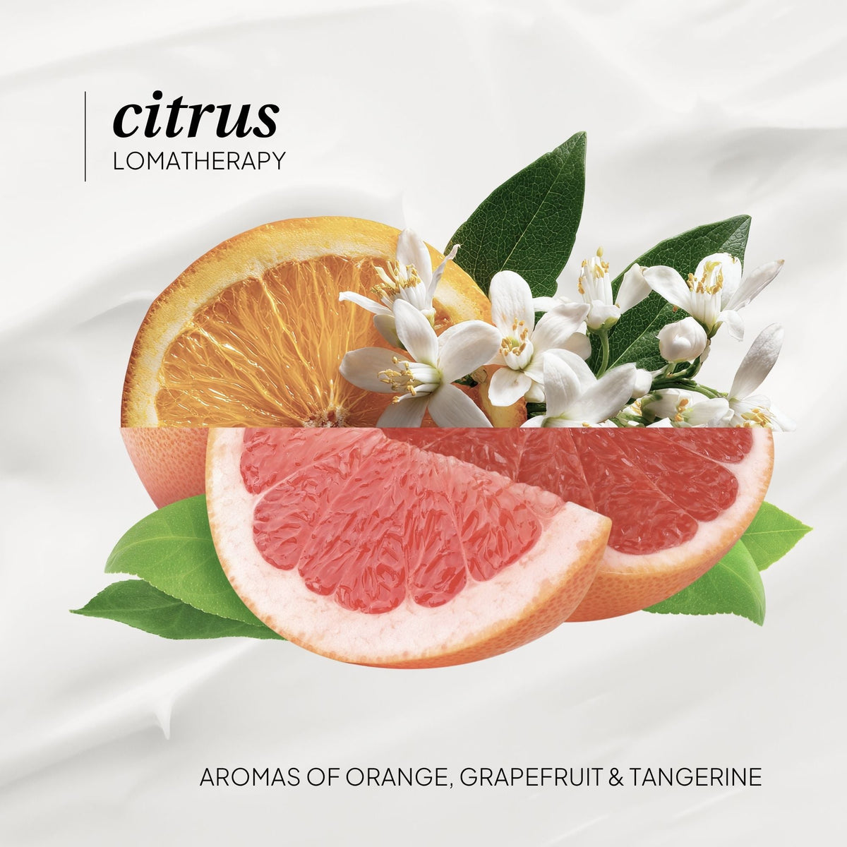 Laundry Detergent: Fresh Citrus - LOMA RETAIL
