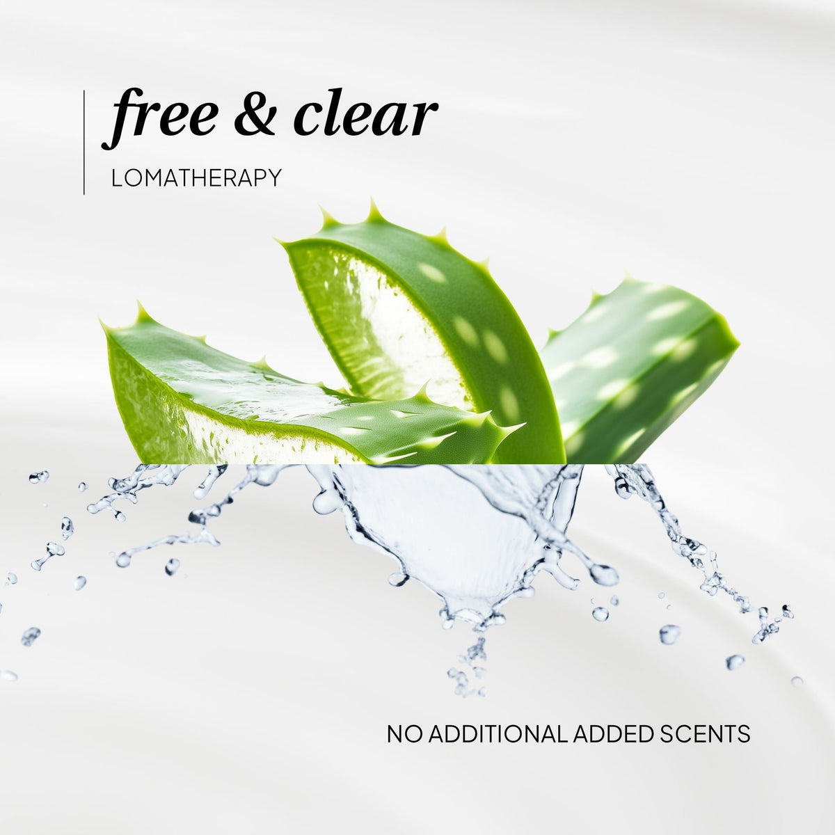 Laundry Detergent: Free & Clear - LOMA RETAIL