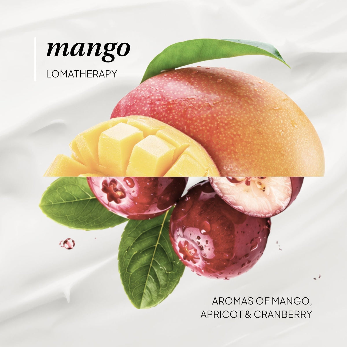 Mango Hand & Body Lotion - LOMA RETAIL