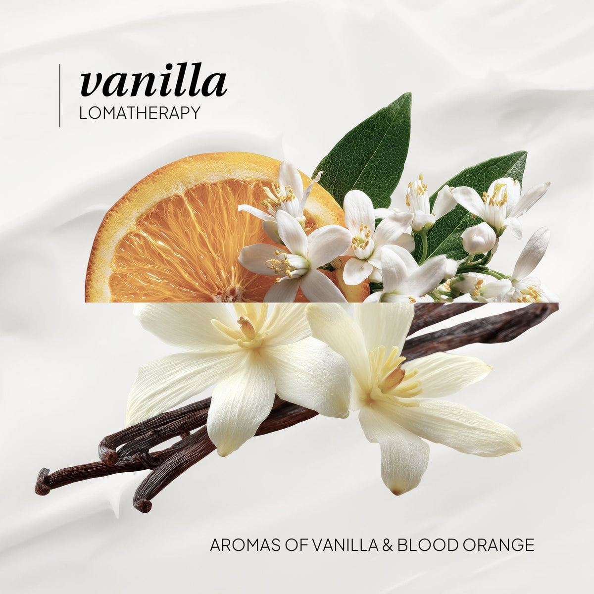 Vanilla Body Wash - LOMA RETAIL