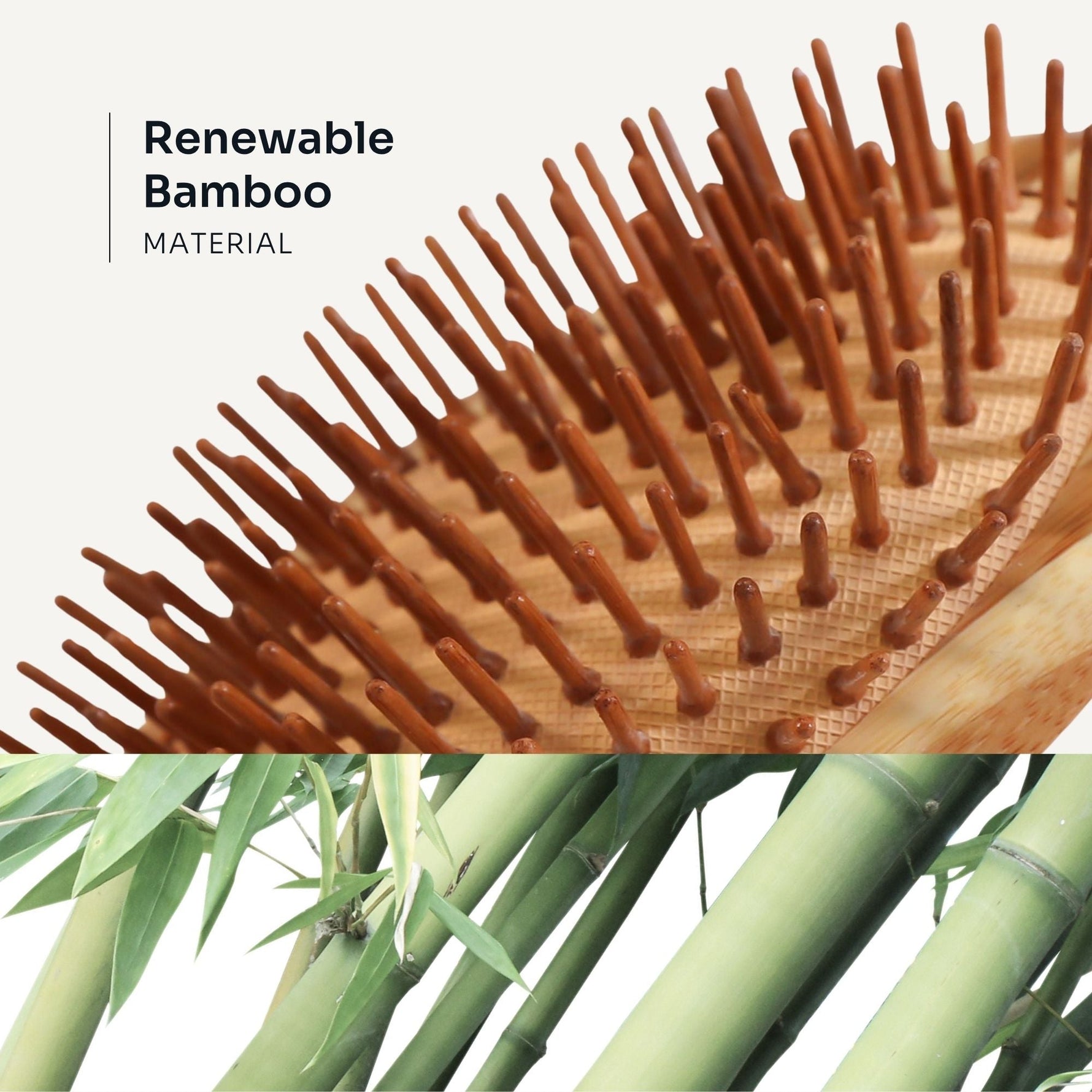 Bamboo Oval Paddle Brush - LOMA RETAIL