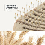 Detangle Flexi Brush - LOMA RETAIL