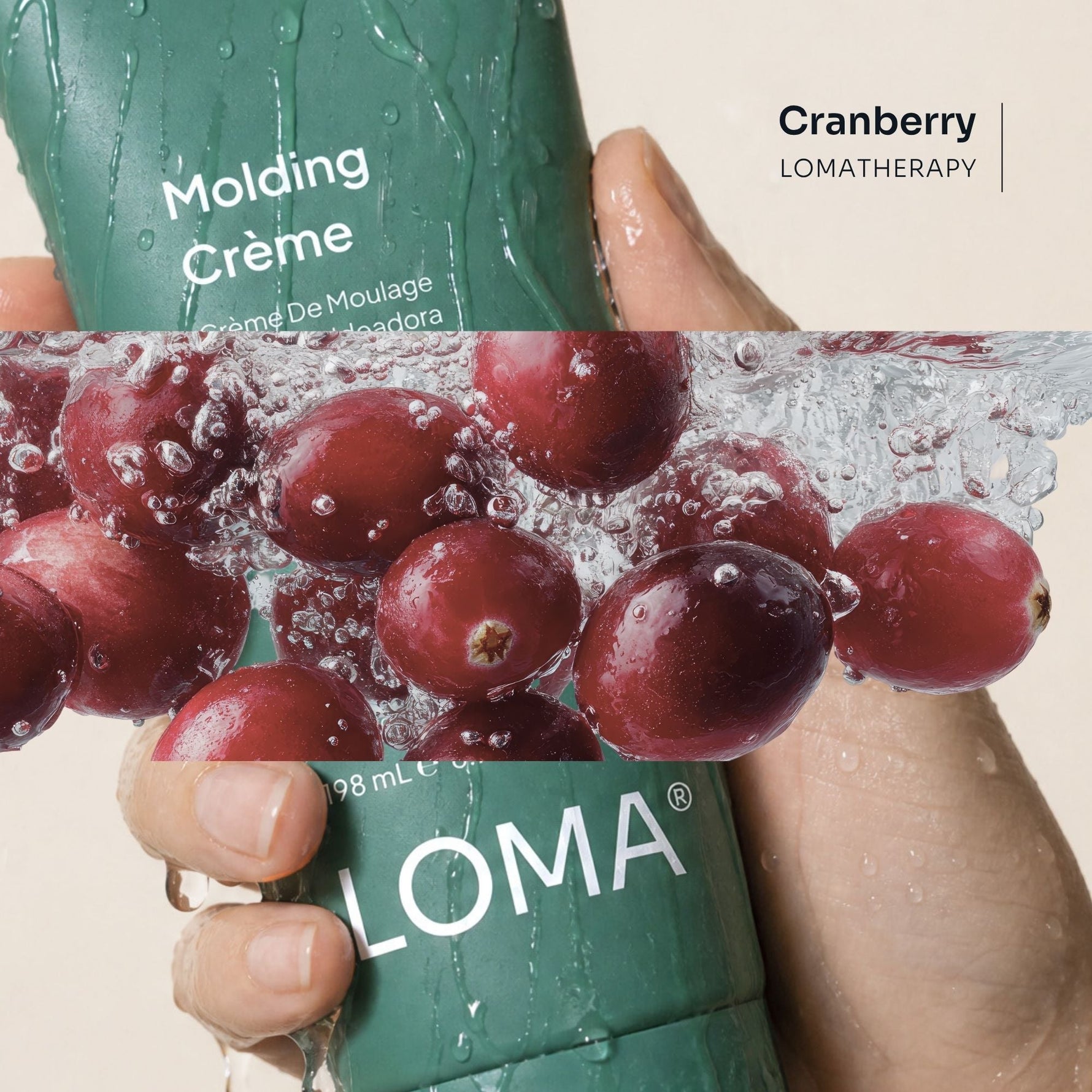 Molding Crème - LOMA RETAIL