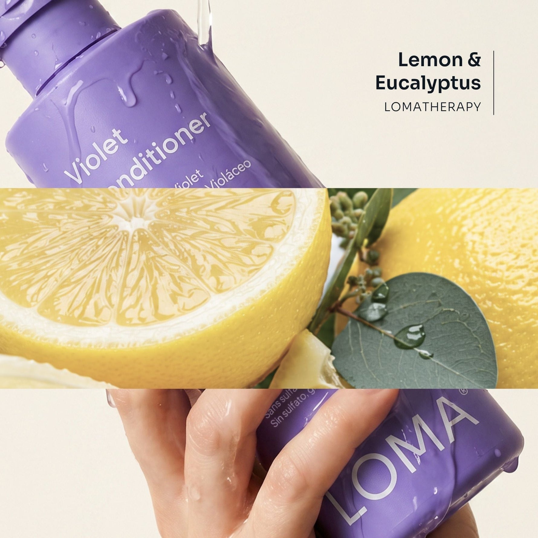 Violet Conditioner - LOMA RETAIL