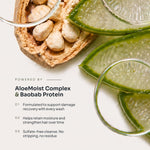 Nourishing Conditioner - LOMA RETAIL