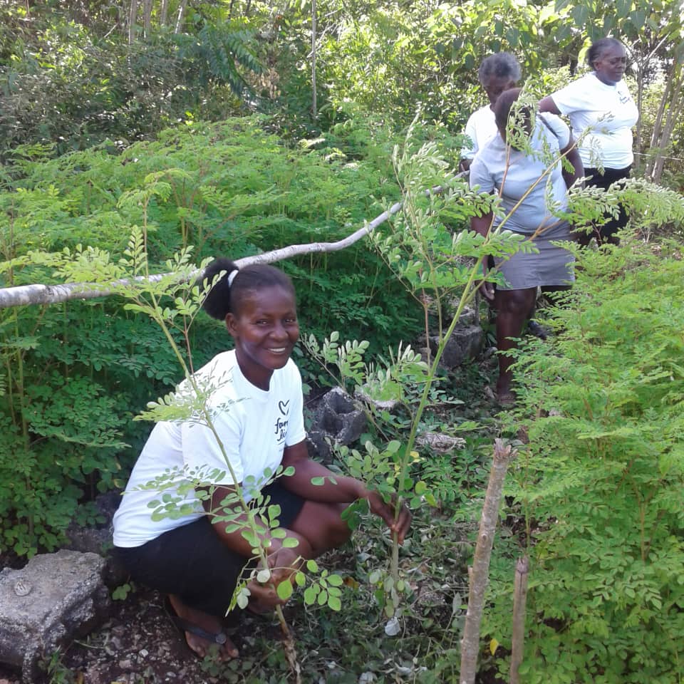 Plant a Tree - LOMA RETAIL